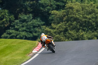PJ-Motorsport-Photography-2020;anglesey;brands-hatch;cadwell-park;croft;donington-park;enduro-digital-images;event-digital-images;eventdigitalimages;mallory;no-limits;oulton-park;peter-wileman-photography;racing-digital-images;silverstone;snetterton;trackday-digital-images;trackday-photos;vmcc-banbury-run;welsh-2-day-enduro